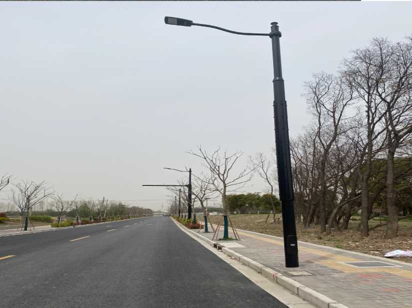 京口区上海综合杆 太阳能路灯工程